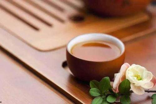 糟茶爆料最新视频,幕后真相大曝光！