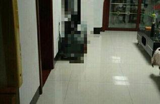 河津铝厂最新爆料,揭秘行业变革背后的秘密